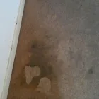 Business 34 image PINKY & THE STAIN PROFESSIONAL CARPET CLEANERS Upholstery cleaners in KZN in Port Elizabeth EC