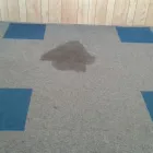 Business 35 image PINKY & THE STAIN PROFESSIONAL CARPET CLEANERS Upholstery cleaners in KZN in Port Elizabeth EC