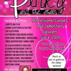 Business 39 image PINKY & THE STAIN PROFESSIONAL CARPET CLEANERS Upholstery cleaners in KZN in Port Elizabeth EC