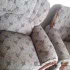 Business 43 image PINKY & THE STAIN PROFESSIONAL CARPET CLEANERS Upholstery cleaners in KZN in Port Elizabeth EC