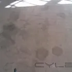 Business 51 image PINKY & THE STAIN PROFESSIONAL CARPET CLEANERS Upholstery cleaners in KZN in Port Elizabeth EC