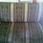 Business 57 image PINKY & THE STAIN PROFESSIONAL CARPET CLEANERS Upholstery cleaners in KZN in Port Elizabeth EC