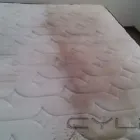 Business 62 image PINKY & THE STAIN PROFESSIONAL CARPET CLEANERS Upholstery cleaners in KZN in Port Elizabeth EC