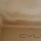 Business 64 image PINKY & THE STAIN PROFESSIONAL CARPET CLEANERS Upholstery cleaners in KZN in Port Elizabeth EC