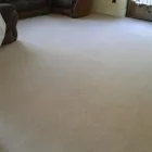 Business 67 image PINKY & THE STAIN PROFESSIONAL CARPET CLEANERS Upholstery cleaners in KZN in Port Elizabeth EC