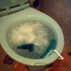 Business 6 image PLUMB SMART JOHANNESBURG Unblocking Drains in Edenvale GP