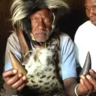 Business 7 image PSYCHIC READING AND LOVE SPELLS +27603764121 Traditional Doctor in Sandton GP