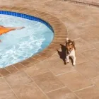 Business 4 image QPAVE Stone Paving in Cape Town WC