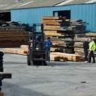 Business 2 image RARE WOODS wood supplier cape town in Cape Town WC
