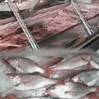 Business 2 image RIO D'OURO FISHERIES Wine in Cape Town WC