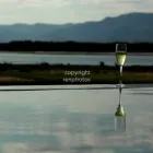 Maatskappy 5 beeld ROMAEN TIFFIN PHOTOGRAPHY Wildlife in Benoni GP