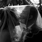 Maatskappy 6 beeld ROMAEN TIFFIN PHOTOGRAPHY Wildlife in Benoni GP