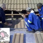 Business 4 image ROOF RATS Vacuum Ceiling in Johannesburg GP