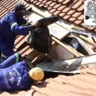 Business 5 image ROOF RATS Vacuum Ceiling in Johannesburg GP