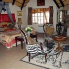 Business 5 image ROYALE MARLOTHI Zebra in Marloth Park MP