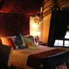 Business 6 image ROYALE MARLOTHI Zebra in Marloth Park MP