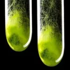 Business 1 image SAPPI SOUTHERN AFRICA Sappi research in Pietermaritzburg KZN