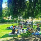 Business 5 image SIMON'S RESTAURANT Restaurants in Cape Town T ZAF