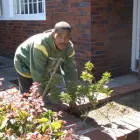 Business 2 image SIYAKWAZI GARDEN SERVICE Weed in Cape Town WC