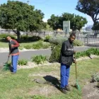 Business 3 image SIYAKWAZI GARDEN SERVICE Weed in Cape Town WC