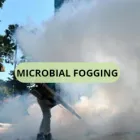 Business 6 image SOLID HYGIENE SOLUTIONS Pest Control in Cape Town WC