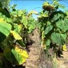 Business 2 image STES DE NECKER'S - ARPM Writers in Bloemfontein FS