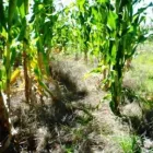 Business 3 image STES DE NECKER'S - ARPM Writers in Bloemfontein FS