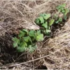 Business 4 image STES DE NECKER'S - ARPM Writers in Bloemfontein FS