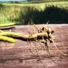 Business 8 image STES DE NECKER'S - ARPM Writers in Bloemfontein FS