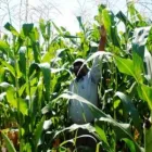 Business 10 image STES DE NECKER'S - ARPM Writers in Bloemfontein FS