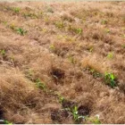 Business 15 image STES DE NECKER'S - ARPM Writers in Bloemfontein FS