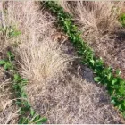 Business 16 image STES DE NECKER'S - ARPM Writers in Bloemfontein FS