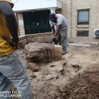 Business 10 image STM TREE FELLERS Tree Surgery in Cape Town WC