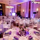 Business 6 image STYLED FUNCTIONS RENTALS Wimbledon Chair in Cape Town WC