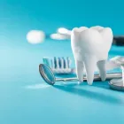 Maatskappy 1 beeld SUS DENTAL CLINIC Dental in Cap Town WC