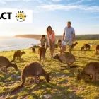 Business 7 image THE AUSSIE HANDBOOK Work Abroad in Cape Town WC