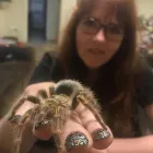 Business 2 image THE BEAUTY ADDICT Waxing in Edenvale GP