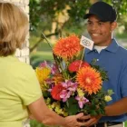 Business 1 image THE BLOOMERY Gifts South Africa in Cape Town WC