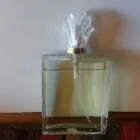 Business 5 image THE CHI HUMAN ENERGY - FINE FRENCH FRAGRANCE CO. Yardley in Cape Town WC