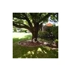 Business 5 image THE MAPLE VILLAGE GUEST LODGE B&B Wifi in Edenvale GP