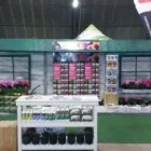 Business 1 image THEME SETTERS Video Presentations in Johannesburg GP