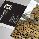 Maatskappy 3 beeld TONIK DIGITAL Weddings in Johannesburg GP