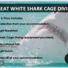 Business 8 image TOURING SOUTH AFRICA Transportation Services in Cape Town WC