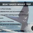 Business 9 image TOURING SOUTH AFRICA Transportation Services in Cape Town WC