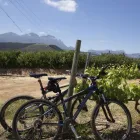 Business 26 image TOURING SOUTH AFRICA Transportation Services in Cape Town WC