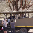 Business 28 image TOURING SOUTH AFRICA Transportation Services in Cape Town WC