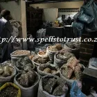 Business 1 image TRADITIONAL HEALER +27635465664 LOST LOVE SPELL CASTER IN KRUGERSDORP, ROODEPOORT, JOHANNESBURG, EDENVALE Traditional Medicine in Alberton GP