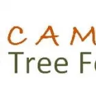 Business 6 image TREE FELLERS RANDBURG - CAMMY TREE FELLING Tree Felling Or Stump Removal in Randburg GP