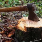 Business 7 image TREE FELLERS RANDBURG - CAMMY TREE FELLING Tree Felling Or Stump Removal in Randburg GP