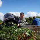 Maatskappy 2 beeld TREE FELLING JOHANNESBURG Tree Felling Or Stump Removal in Johannesburg GP